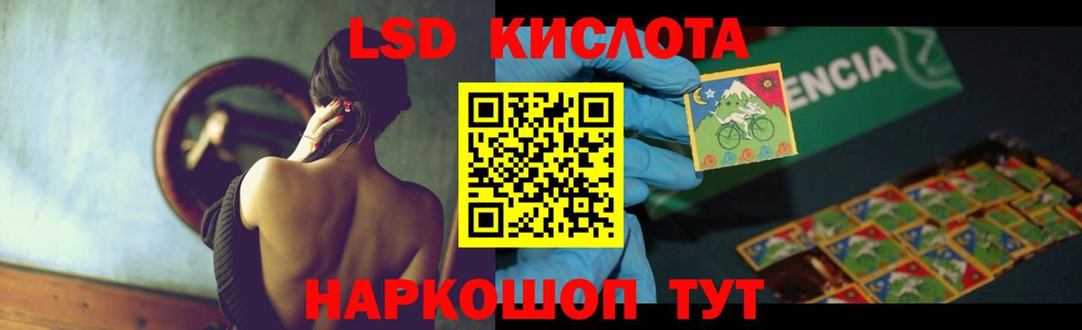 Псилоцибиновые грибы Донецк