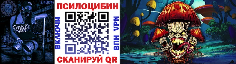 хочу   Донецк  Галлюциногенные грибы Psilocybe 